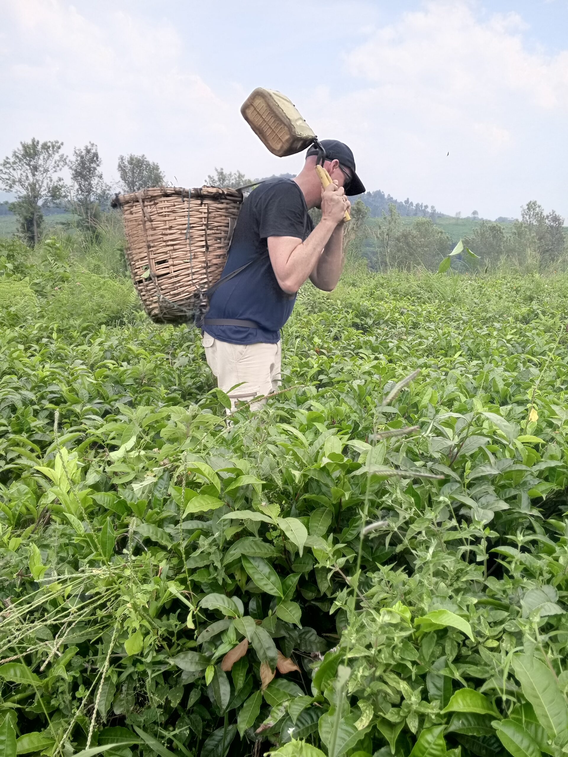 IMG_20250113_144815_584