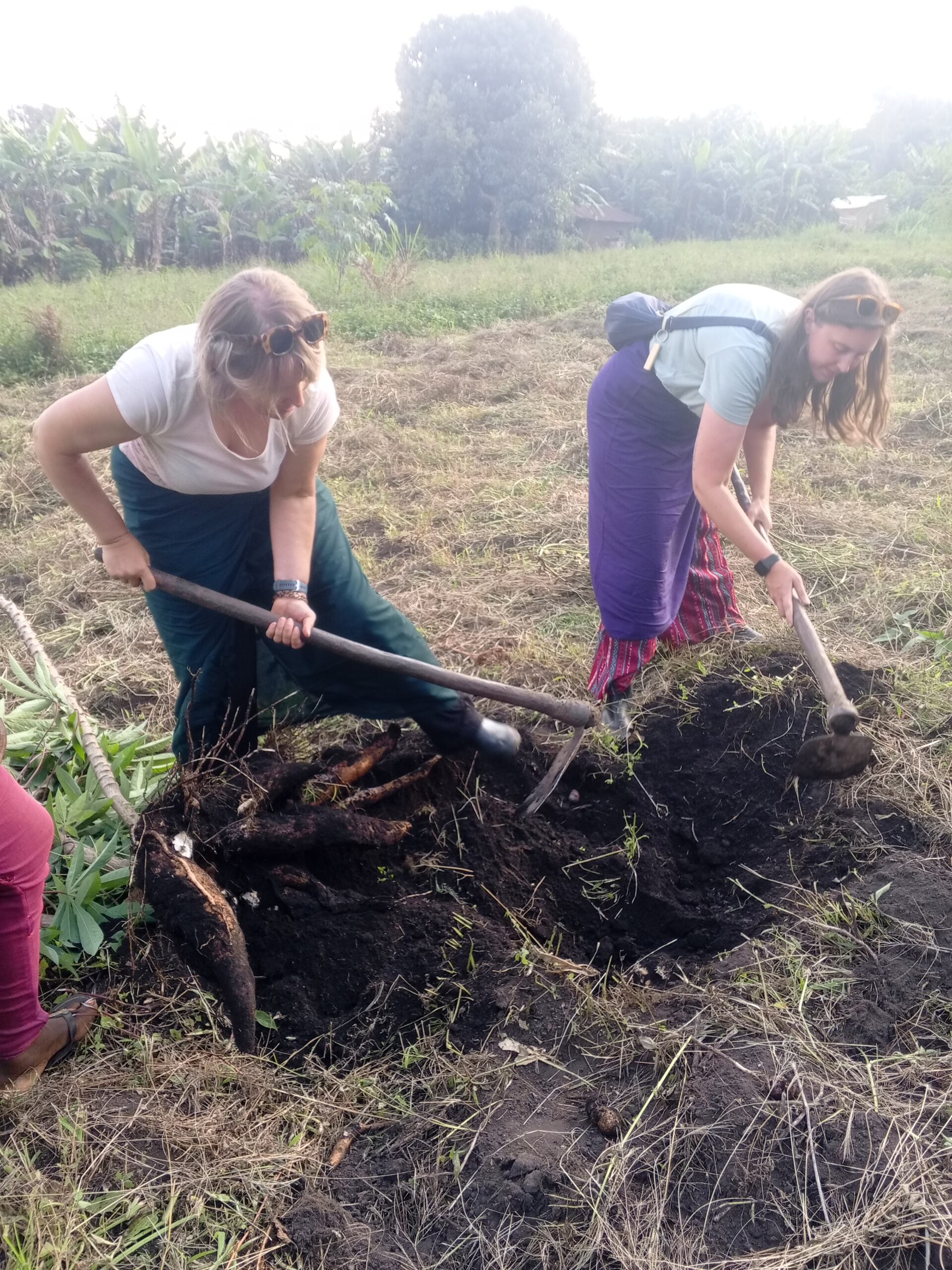 IMG_20250728_175443_865